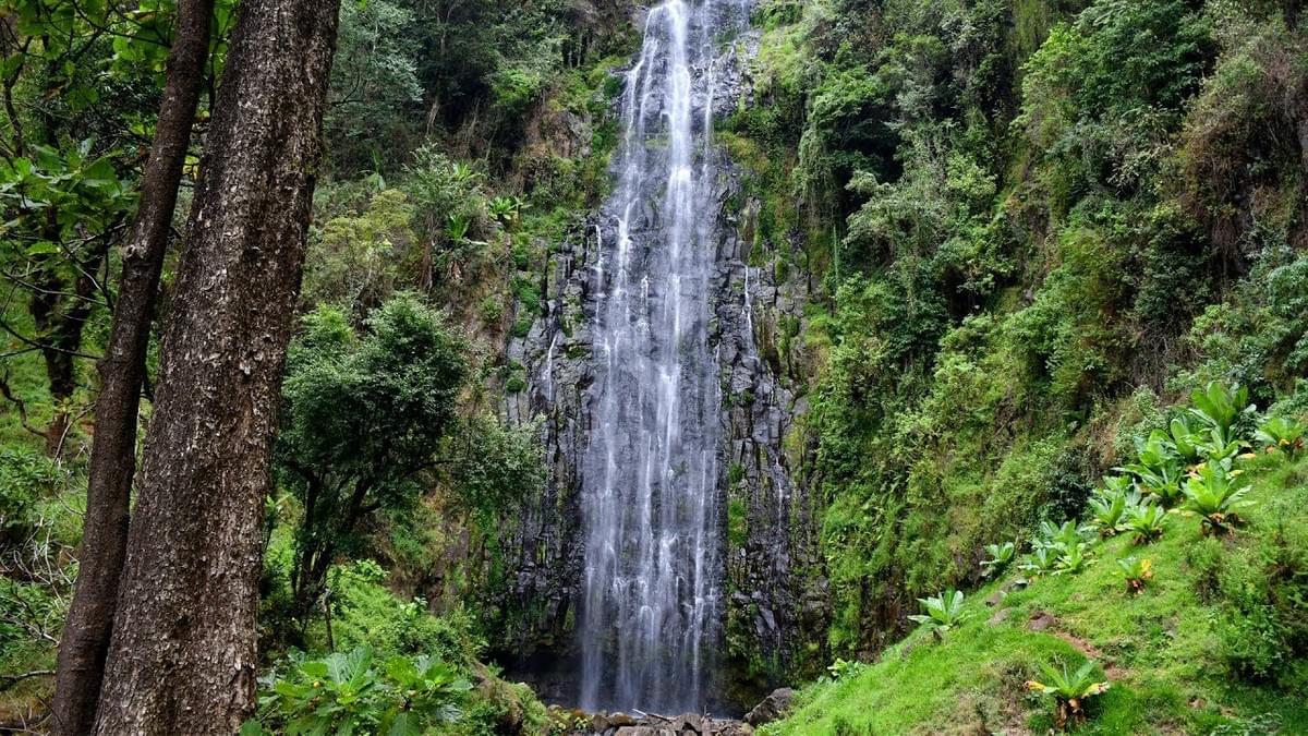 Day trip to Materuni waterfalls from Arusha/Moshi