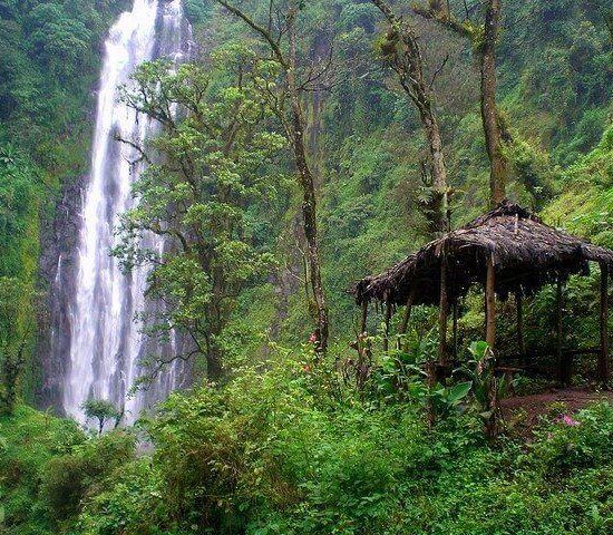 Day trip to Marangu waterfalls from Arusha/Moshi